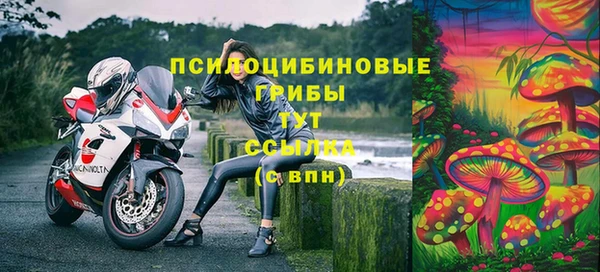 скорость Баксан