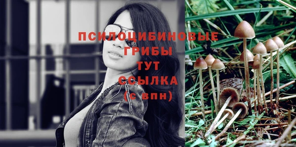 скорость Баксан