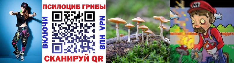 Псилоцибиновые грибы Magic Shrooms  Вяземский 